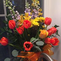 Michelle Fortier Photo 16