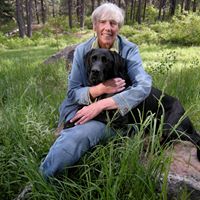 Jane Pedersen Photo 30