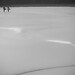 Patrick Nixon Photo 38