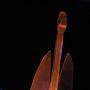Christopher Mcelroy Photo 37