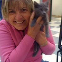 Sharon Fogarty Photo 12