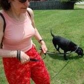 Ellen Chernoff Photo 8