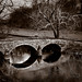 Linda Burnside Photo 11