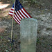 Amanda Fort Photo 17