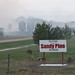 Sandy Pine Photo 9