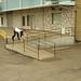 Corey Downing Photo 21