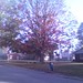 Linda Kidd Photo 19