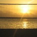 Allan Simpson Photo 30