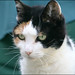 Myra Lang Photo 11