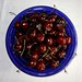 Lynn Cherry Photo 17