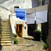 Steven Matera Photo 2