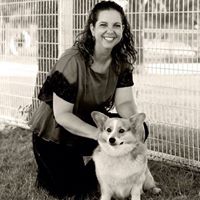 Jennifer Sovocool Photo 2