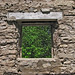 Alexander Mcneil Photo 8
