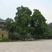 Xian Lin Photo 28