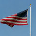 Mary Cornett Photo 19