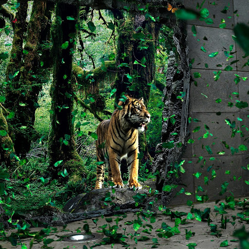Sukhvinder Singh Photo 31