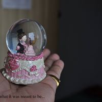 Edwin Howell Photo 12