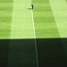 Stan Lowe Photo 13