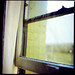 Sarah Palmer Photo 41