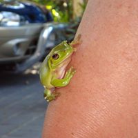 Sharon Bergin Photo 13