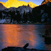 Jason Irvine Photo 19