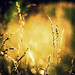 Brian Ingalls Photo 19