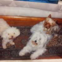 Nancy Sampson Photo 32