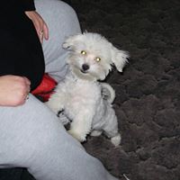 Vicki Engle Photo 1