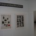 Steven Freda Photo 10