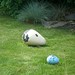 Carolyn Park Photo 14