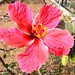 Lidia Silva Photo 14