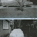 Keith Adams Photo 48