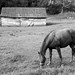 Maggie Rush Photo 11