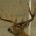 Stan Buck Photo 19