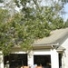 Rita Livingston Photo 7