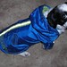 Wayne Bandy Photo 9
