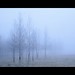 Bryan Griffiths Photo 34