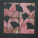 Judith Swanson Photo 20