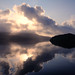 Dawn Harris Photo 15
