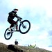 Andrew Poole Photo 19