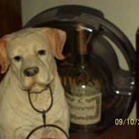 Michael Luellen Photo 10