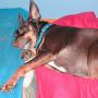 Michele Blevins Photo 21