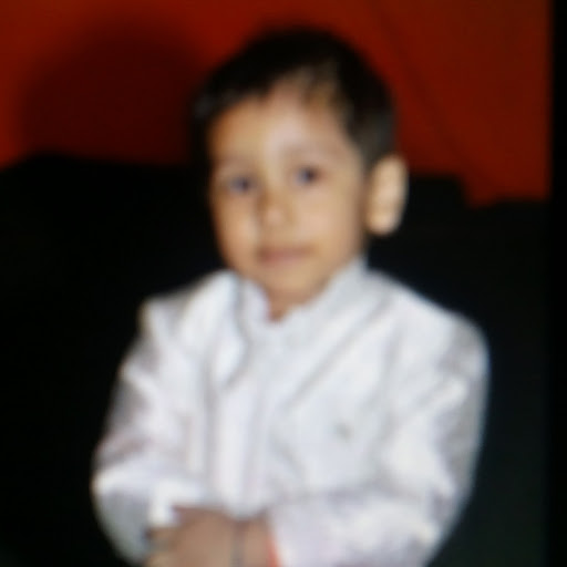Anju Bansal Photo 7