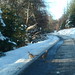 Marilyn Pheasant Photo 5