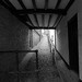 Ruth Lane Photo 6