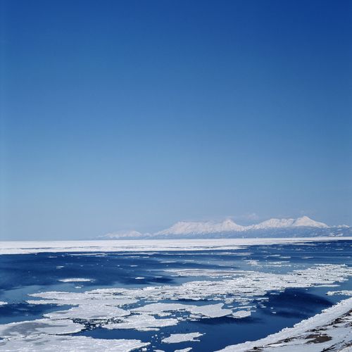 Dean Harrison Photo 17