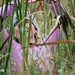 Eric Bartl Photo 7