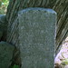 James Shelton Photo 12