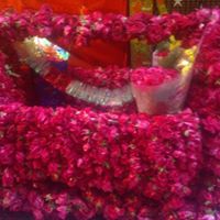 Muhammad Haleem Photo 21
