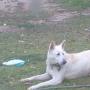Gary Tripp Photo 15